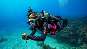 Image result for Divemaster Scuba