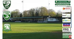 Image result for Leatherhead Football Club