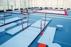 Image result for Newport Gymnastics Club