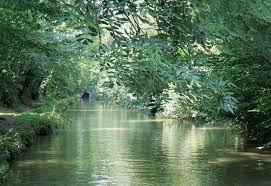 Image result for Grendon Lakes, Northants