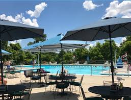 Image result for York University Pool Club