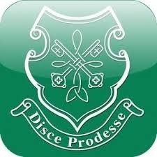 Image result for St Peter`s Gaa