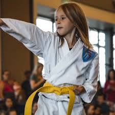 Image result for West Jordan Martial Arts Dojo