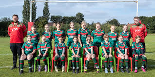 Image result for Halton Farnworth Hornets Rugby League Football Club