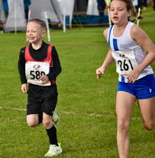 Image result for Billingham Marsh House Harriers