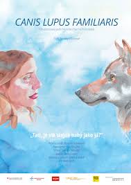 Attēlu rezultāti vaicājumam “Canis lupus familiaris”