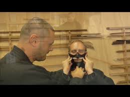 Image result for Bujinkan Dojo Seijitsu