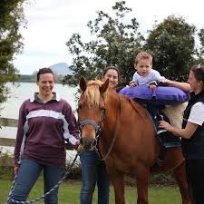 Image result for Riding For The Disabled
