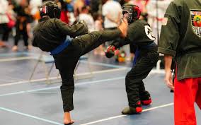 Image result for United Sport Karate