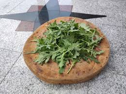 Attēlu rezultāti vaicājumam “Diplotaxis tenuifolia fruit”