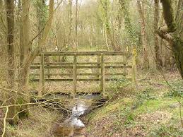 Image result for Guildford Archery Club