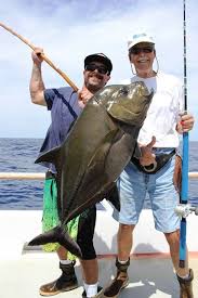 Image result for Caranx lugubris