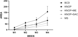 Attēlu rezultāti vaicājumam “Bryum amblyodon”