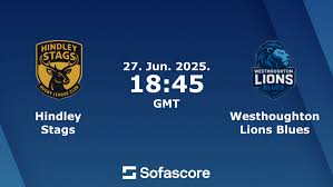 Image result for Hindley Rugby League Football Club