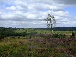 Image result for The Chobham Common Riders Association