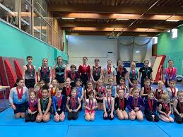 Image result for Bicester and District Gymnastics Club