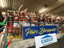 Image result for Lisnaskea Emmetts Gfc