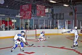 Image result for Adur Skater Hockey Club
