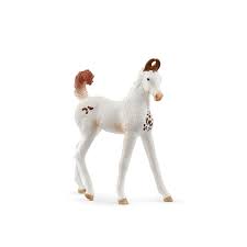 Image result for White Horse Model Club