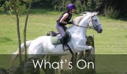 Image result for Palmers Riding Stables
