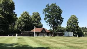 Image result for Buscot Park Cricket Club