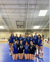 Image result for York University Volleyball Club
