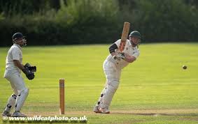 Image result for Malvern Cricket Club