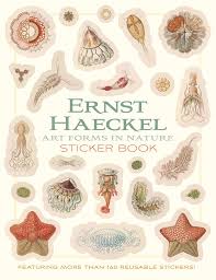 Image result for ernst haeckel