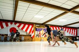 Image result for enpi dojo