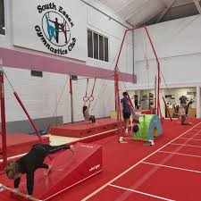 Image result for South Essex Gymnastics Club