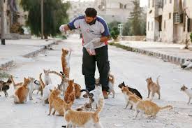 Image result for cat man