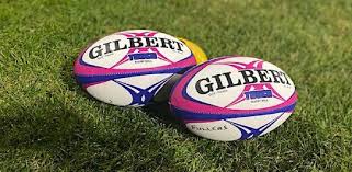 Image result for Fullerians Rugby Football Club