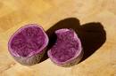 The Medifast Plan - Medifast Coupons, Medifast Diet Info, General ...