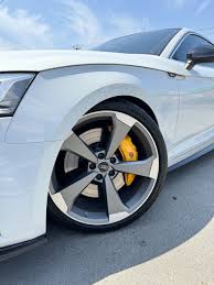 Картинки по запросу белку зажевало в диск