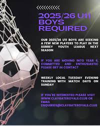 Image result for Claygate Royals Football Club