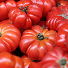 Afbeeldingsresultaat voor mortgage lifter bicolor strain tomato
