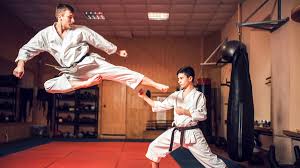 Image result for Kenpo Karate Club