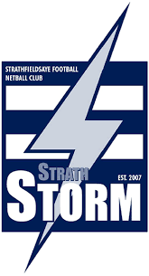 Image result for Storm Junior Netball Club