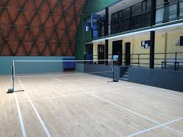Image result for Seaview Badminton Club
