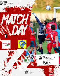 Image result for Chiddingfold Youth Fc