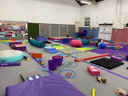 Image result for Zodiac Gymnastics Club