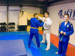 Image result for Exmouth Vikings Judo Club