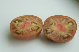 Afbeeldingsresultaat voor black sea man tomato