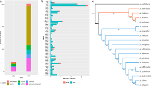 Attēlu rezultāti vaicājumam “Melilotus wolgicus”