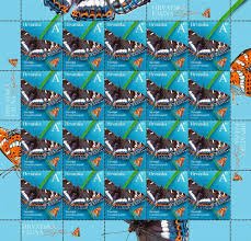 Attēlu rezultāti vaicājumam “Limenitis populi”