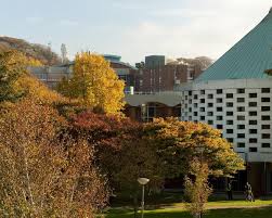 Image result for University Of Sussex