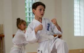 Image result for Jin Sei Kai Shotokan Karate