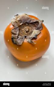 Image result for sharon fruit