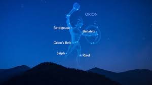 Image result for Orion Bowhunters