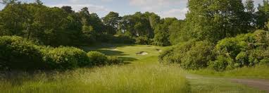 Image result for Wimbledon Common Golf Club